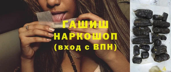 стаф Медногорск