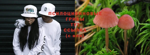 синтетический гашиш Белоозёрский