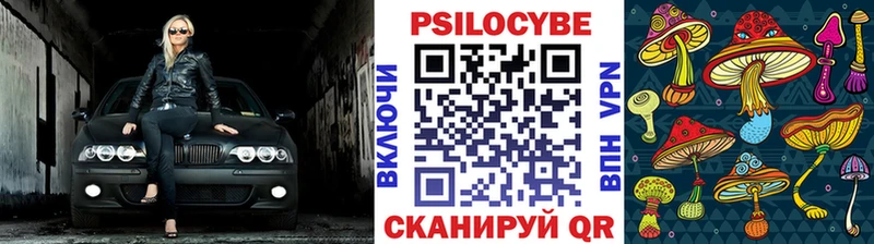 Галлюциногенные грибы мицелий hydra как войти Бузулук